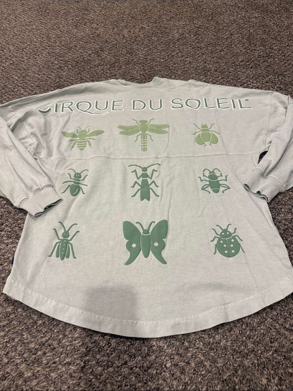 Cirque du Soleil Women's Light Green Graphic Sweatshirt